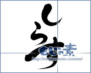 Japanese calligraphy "しらす (Whitebait)" [6365]