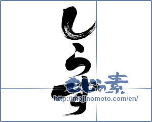 Japanese calligraphy "しらす (Whitebait)" [6366]
