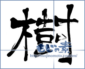 Japanese calligraphy "樹" [6521]