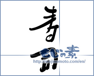 Japanese calligraphy "寿司 (sushi)" [5890]
