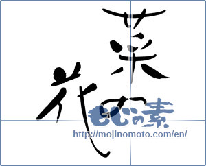 Japanese calligraphy "菜の花 (rape blossoms)" [6419]