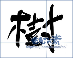 Japanese calligraphy "樹" [6428]