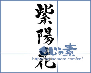 Japanese calligraphy "紫陽花 (hydrangea)" [15217]