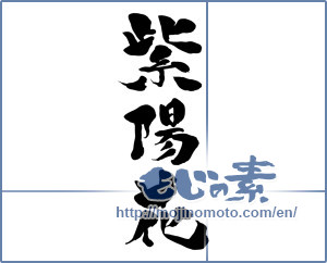 Japanese calligraphy "紫陽花 (hydrangea)" [15218]