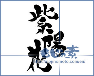 Japanese calligraphy "紫陽花 (hydrangea)" [15219]