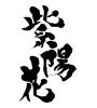 紫陽花 (hydrangea) [ID:15219]