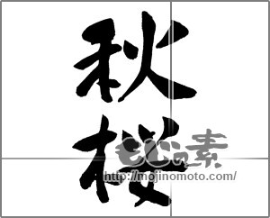 筆文字素材：秋桜_2024.08.13 [33387]