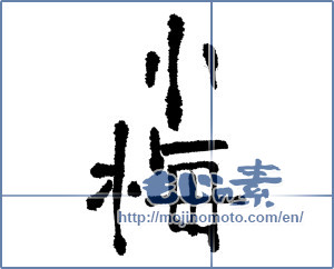 Japanese calligraphy "小梅 (Koume [person's name])" [3504]