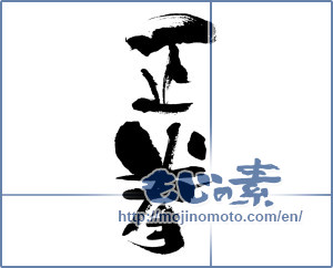 Japanese calligraphy "正拳 (Positive fist)" [4003]