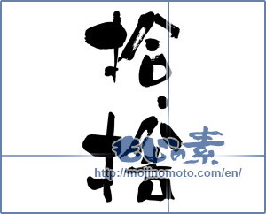Japanese calligraphy "拾、捨 (Pick, discard)" [5384]