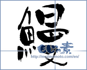 Japanese calligraphy "鰻 (Eel)" [678]