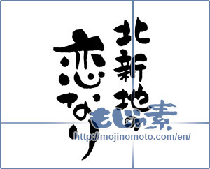 Japanese calligraphy "北新地の恋なり" [11995]