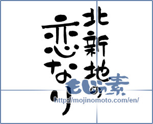 Japanese calligraphy "北新地の恋なり" [11996]