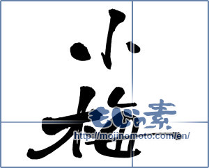 Japanese calligraphy "小梅 (Koume [person's name])" [3385]