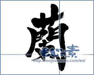 Japanese calligraphy "蘭 (orchid)" [4526]