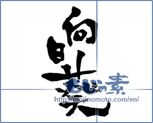 Japanese calligraphy "向日葵 (Sunflower)" [735]