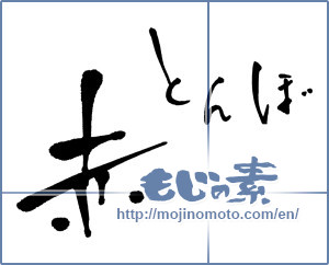Japanese calligraphy "赤とんぼ (red dragonfly)" [912]