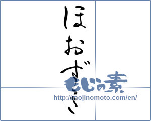 Japanese calligraphy "ほおずき" [13950]