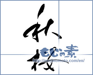 Japanese calligraphy "秋桜 (cosmos)" [19760]