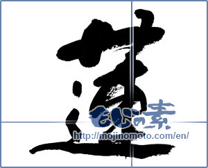 Japanese calligraphy "蓮02" [15018]