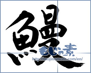 Japanese calligraphy "鰻 (Eel)" [19346]