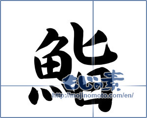 Japanese calligraphy "鮨 (sushi)" [16163]