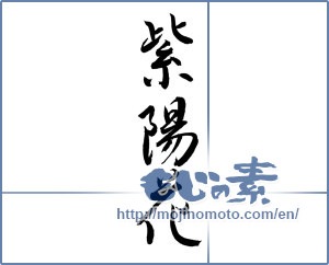 Japanese calligraphy "紫陽花 (hydrangea)" [6722]