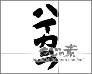 Japanese calligraphy "ハイカラ" [27927]