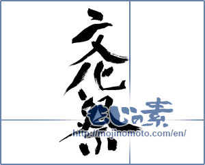 Japanese calligraphy "文化祭 (culture festival)" [8773]