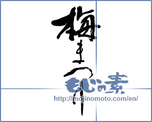 Japanese calligraphy "梅まつり (Plum festival)" [9548]