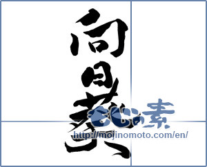 Japanese calligraphy "向日葵 (Sunflower)" [10074]