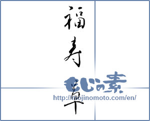 Japanese calligraphy "福寿草" [11709]