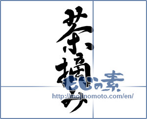 Japanese calligraphy "茶摘み (tea harvesting)" [9864]