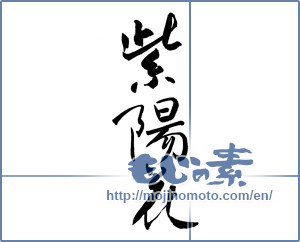 Japanese calligraphy "紫陽花 (hydrangea)" [9901]