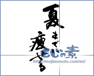 Japanese calligraphy "夏までに痩せる" [13468]
