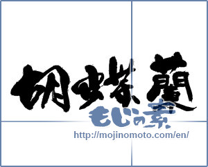Japanese calligraphy "胡蝶蘭" [13759]