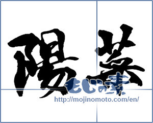 Japanese calligraphy "陽菜-3" [16345]