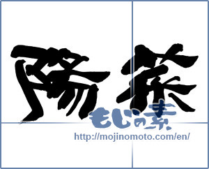 Japanese calligraphy "陽菜-2" [16346]