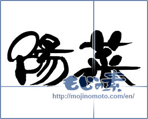 Japanese calligraphy "陽菜-1" [16347]