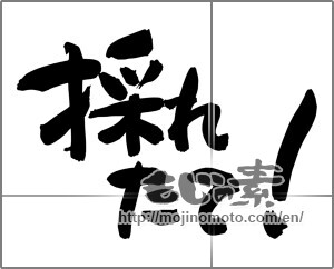 Japanese calligraphy "採れたて！" [24924]