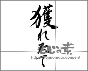 Japanese calligraphy "獲れたて" [24931]