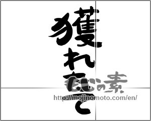 Japanese calligraphy "獲れたて" [24938]