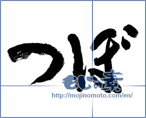 Japanese calligraphy "つぼ (Pot)" [7371]