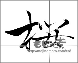 Japanese calligraphy "桜 (Cherry Blossoms)" [28179]