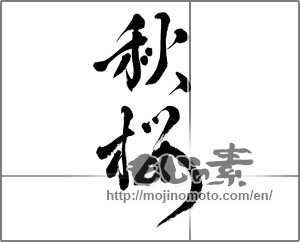 Japanese calligraphy "秋桜 (cosmos)" [23332]