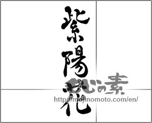 Japanese calligraphy "紫陽花 (hydrangea)" [25192]