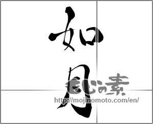 Japanese calligraphy "如月" [27348]