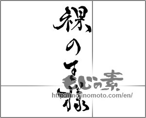 Japanese calligraphy "裸の王様" [28405]