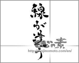 Japanese calligraphy "線が違う" [28410]