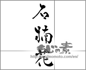 Japanese calligraphy "石楠花" [28691]
